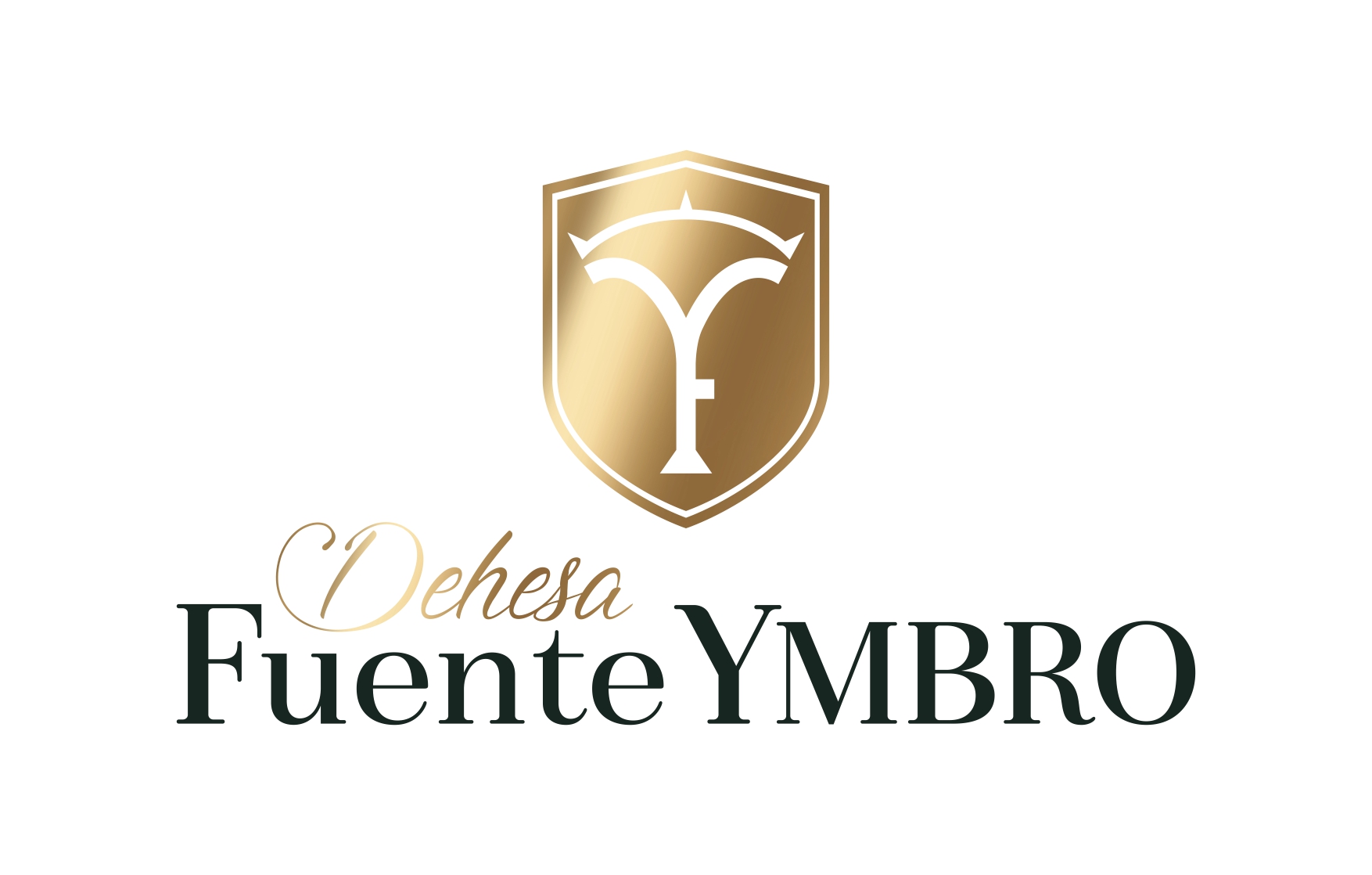 Logo Fuente Ymbro